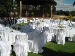 Weddings